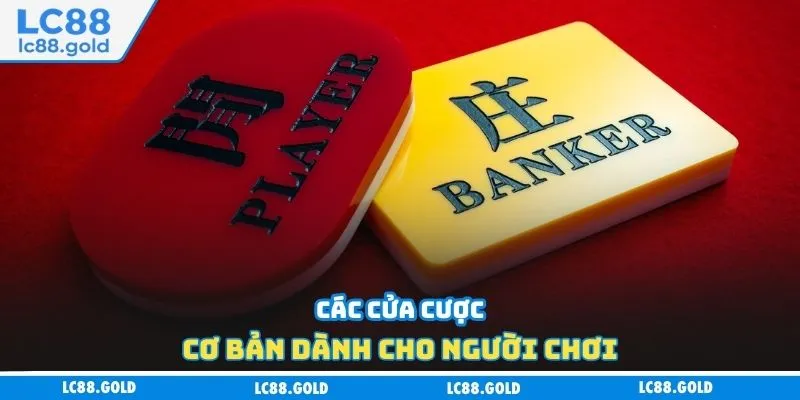 Các cửa cược cơ bản dành cho người chơi