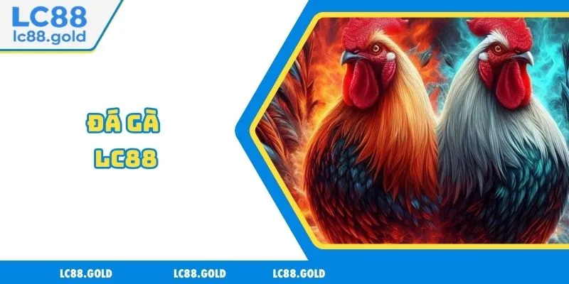 Đá Gà LC88 - Uy Tín Tuyệt Đối, Ưu Đãi Ngập Tràn Đá Gà LC88 - Uy Tín Tuyệt Đối, Ưu Đãi Ngập Tràn