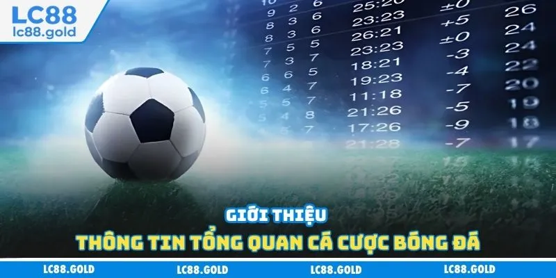 Giới thiệu thông tin tổng quan cá cược bóng đá Giới thiệu thông tin tổng quan cá cược bóng đá